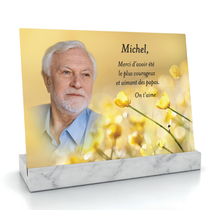 Ranunculus acris (Bouton d'or)