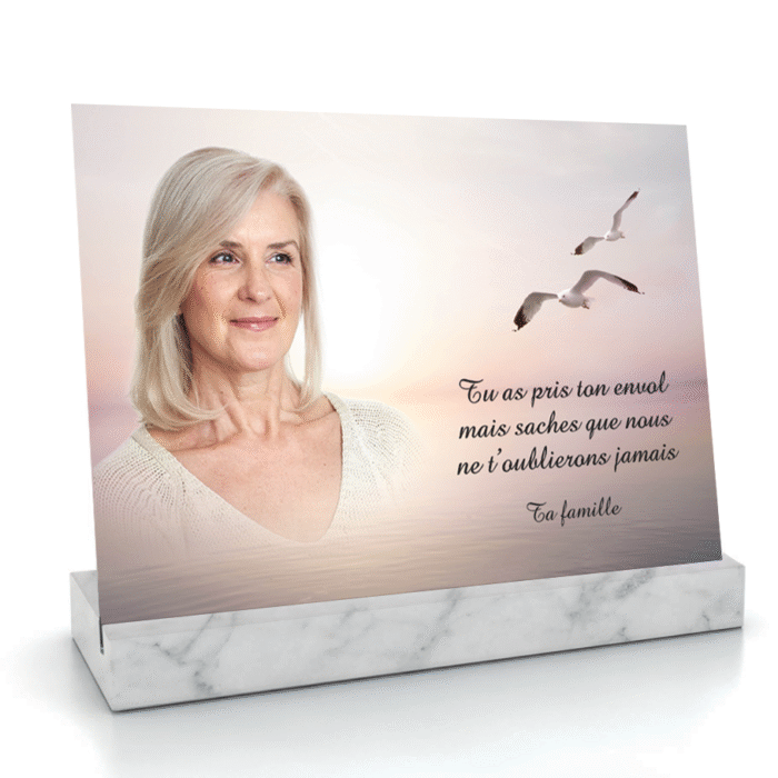 Envol vers la lumière