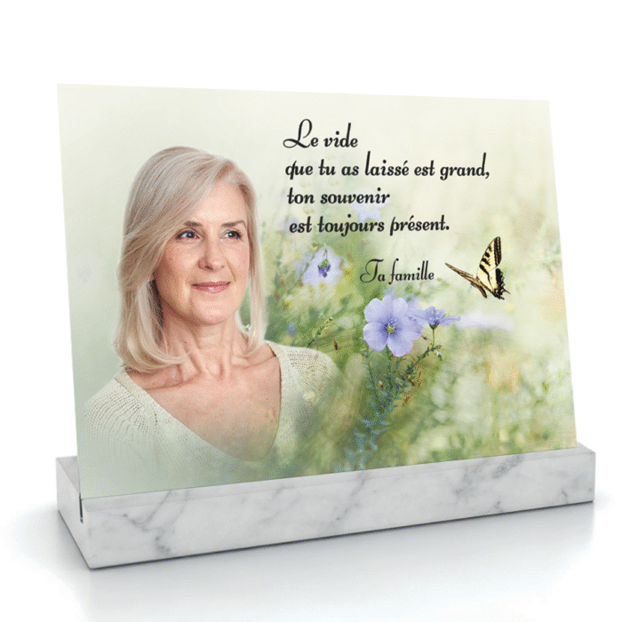 Linum perenne (Lin bleu)